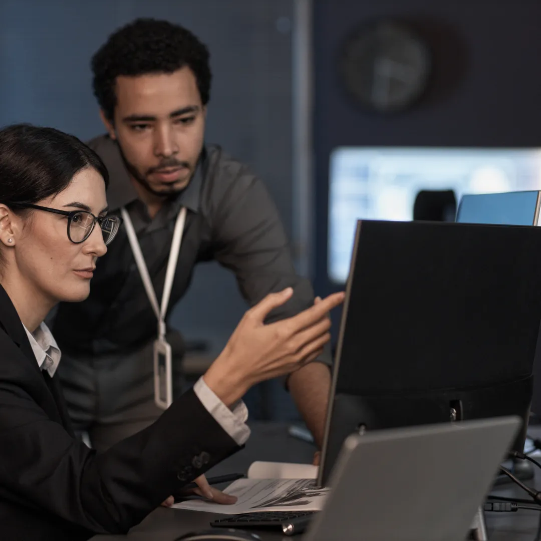 Two colleagues using computer on secure network