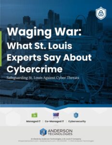 Waging war on cyber crime in St. Louis eBook