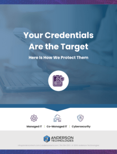 ITDR one-pager - Anderson (1)